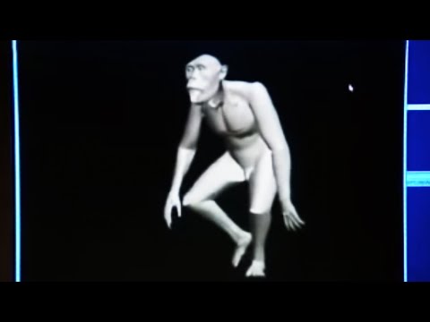 reconstruction - Amazing clip where scientists and computer experts use CGI programming to bring to life the walk of the primeval link between ape and man. Free video from th...