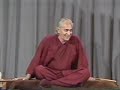 Swami Rama Yoga Sutras Lecture 44 - 85