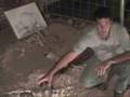 Museo Paleontol�gico San Pedro [2]