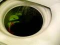 Fisher and Paykel Washing