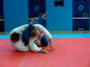 BlueWave BJJ - Flying Flower Sweep  Rolling Shin Choke