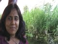 Dal Lake and Nagin Lake - Lakes of Kashmir