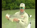 Snook Fishing Snook Fishing