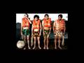 The Shins - Mieke (Flake cover)