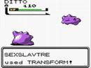 Ditto Vs Ditto
