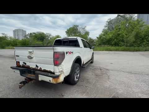 2011 FORD F-150 PICKUP TRUCKS | Platinum Group (2)