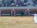 Recortes 2008
