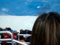 videos de Sea World5 of 6 by Pramod.MPG
