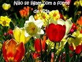 Quando chegar a hora
