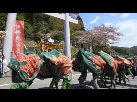 動画