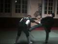 fast hands gong-fu