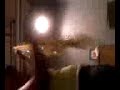 video (VIDEO_003.mpeg) video (VIDEO_003.mpeg)