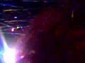 Animal Collective peacebone - Lux 28 May