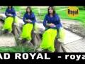 amjadroyal.mpg