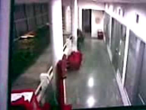 hantu PTBA