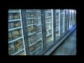GMO's: What is our food?