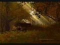 videos de Guild Wars - Edward's Meadow