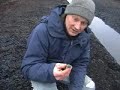 Peat bog field trip