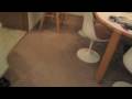 videos de ryker1