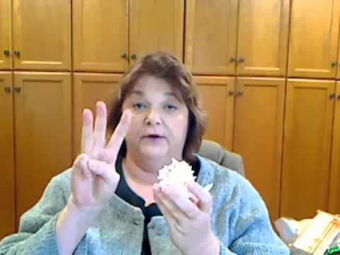 how to whiten shells