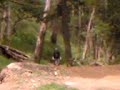 freeride chapul
