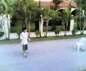 The Duel The Duel
