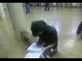 la asesina del workbook   