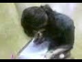 la asesina del workbook   