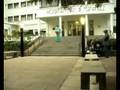 videos de LP - ORGAN DONATION