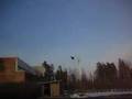 19 Mig-29 with KF airfoil, 3s350 lipo test