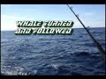 fishing Albacore