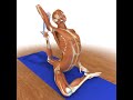 yoga anatomy - The Shoulder in Pigeon Pose