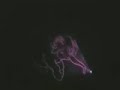 Fantasmic Pt 1 DLR