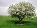 MALATYA FETH?YE GRUP SEYRAN DERTL?N?N DERD? B?L?NMEZ MALATYA FETH?YE GRUP SEYRAN DERTL?N?N DERD? B?L?NMEZ