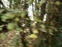ramsdell to laverstock 25/10/08