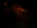 Fat Boy Bament KIcks Lamppost