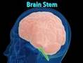 recovering from stroke