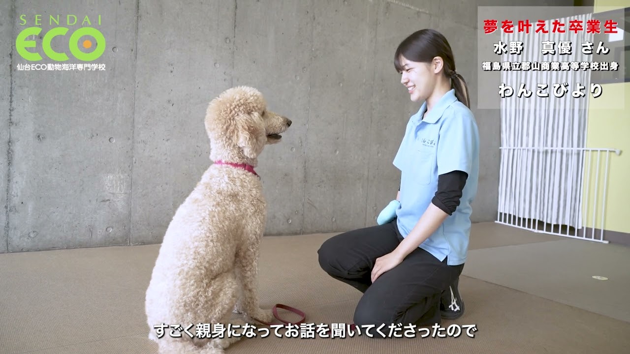 夢を叶えた卒業生