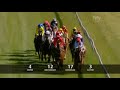 2008 Geelong Cup, Bauer