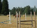 Horse jumping? Horse jumping?