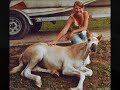 animali Spassosi