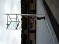 Amazing Basketball Shot...