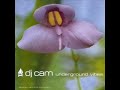 artist: dj cam
song: pure pleasure
album: underground vibes
released in 1994 by recall records.

http://www.myspace.com/djcamrecall
http://www.myspace.com/recallrecords