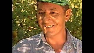 Clipping de TV ACIM - 2006 - 119