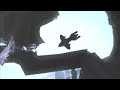 Neill Blomkamp, halo 3 live action movie Neill Blomkamp, halo 3 live action movie