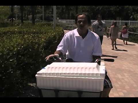 Miami Beach: Joan Murray