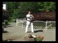 Karate W.D.K.B.A. DZISAI-RYU
