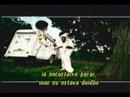 Afroman Because I Got High Homem Beringela Panico na TV