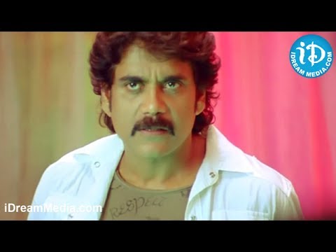 Kedi Movie - Kelly Dorji, Nagarjuna Fight Scene