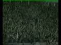 videos de PAOK